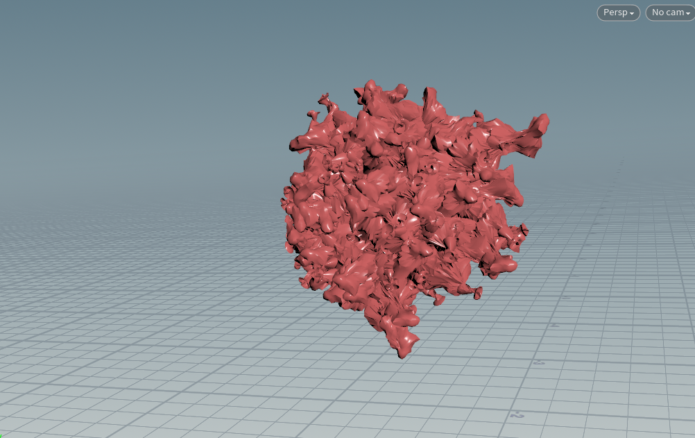 lung4